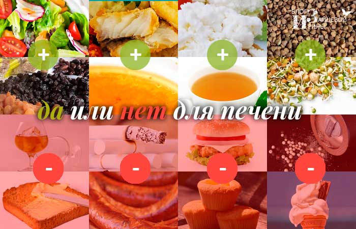 Вредные и полезные продукты для поджелудочной железы