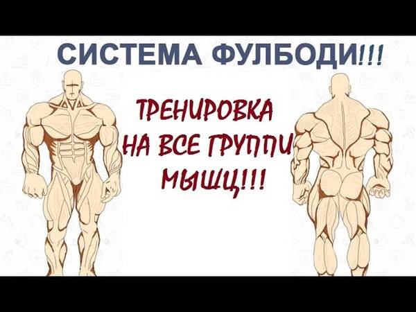 Фулбади тренировка – лучший вариант набора массы для новичков
