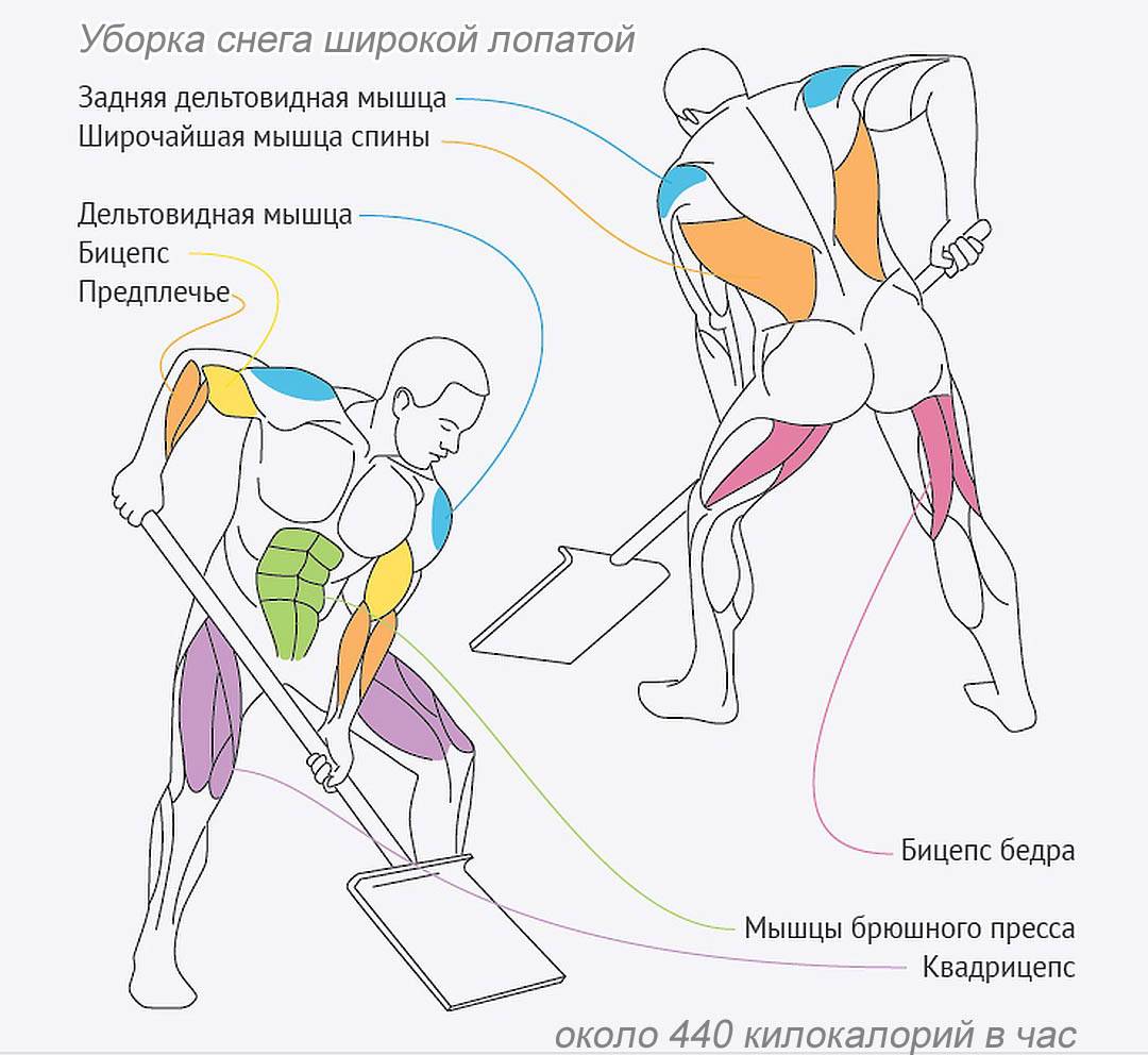 Мини велотренажер: как заниматься и какой педальный тренажер лучше выбрать для дома
