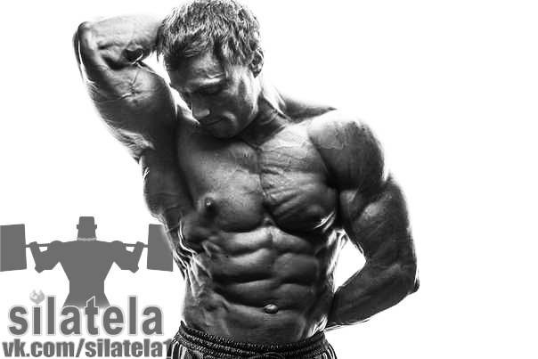 Лучшие тренировочные программы для сжигания жира