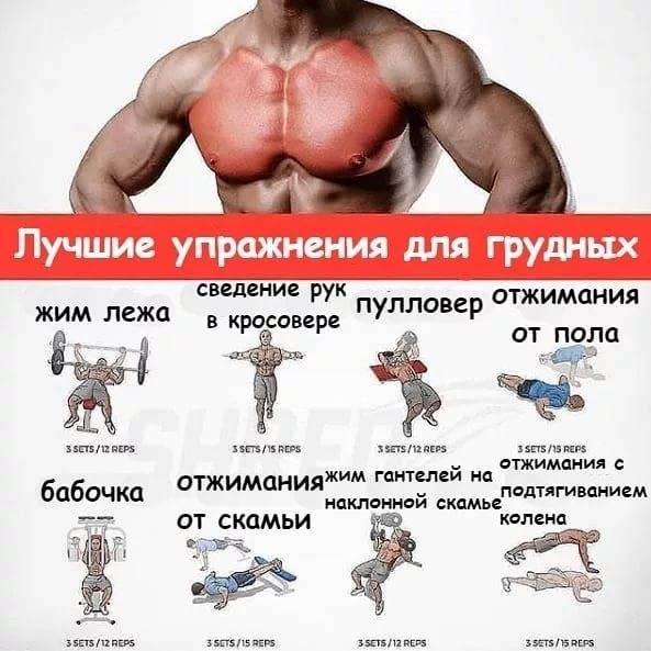 Сколько раз в неделю нужно заниматься фитнесом, чтобы был результат: как часто можно тренироваться, чтобы похудеть, подтянуть тело