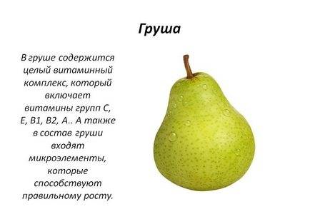 Польза и вред груш