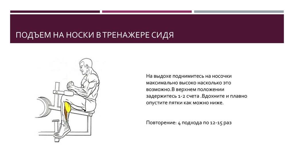 Подъем на носки стоя: описание упражнения, инструкция по выполнению