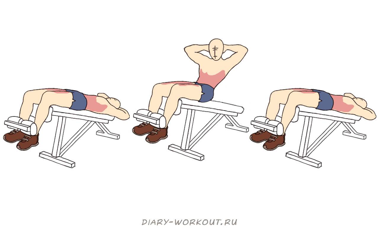 Подъем ног на наклонной скамье: лучшие упражнения для пресса и проработки рельефных кубиков, программа тренировки и рекомендованное количество повторений