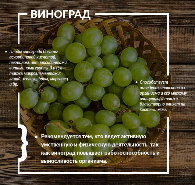 Чем полезен виноград для здоровья человека, польза и вред винограда