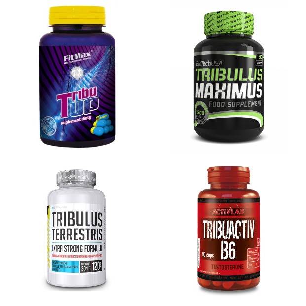 Как принимать трибулус — эффективность, правила приема, инструкция и описание действия препарата (125 фото и видео)