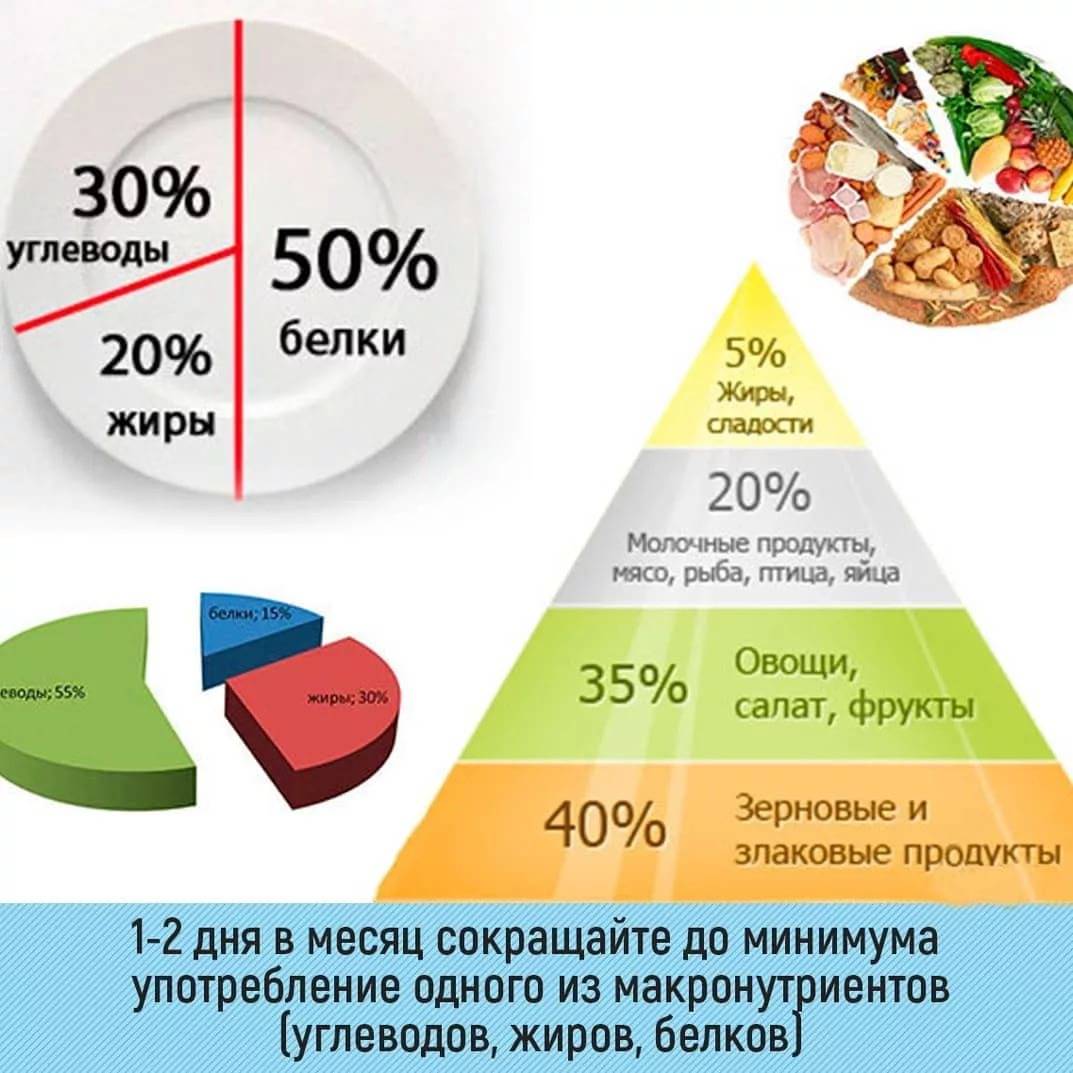 Составить план питания по бжу