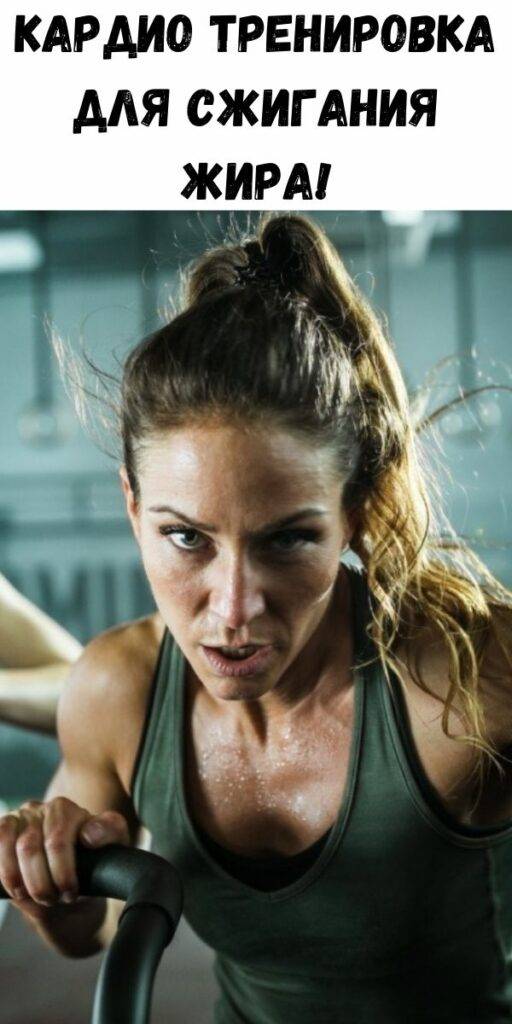 Кардио тренировка для сжигания жира в домашних условиях
