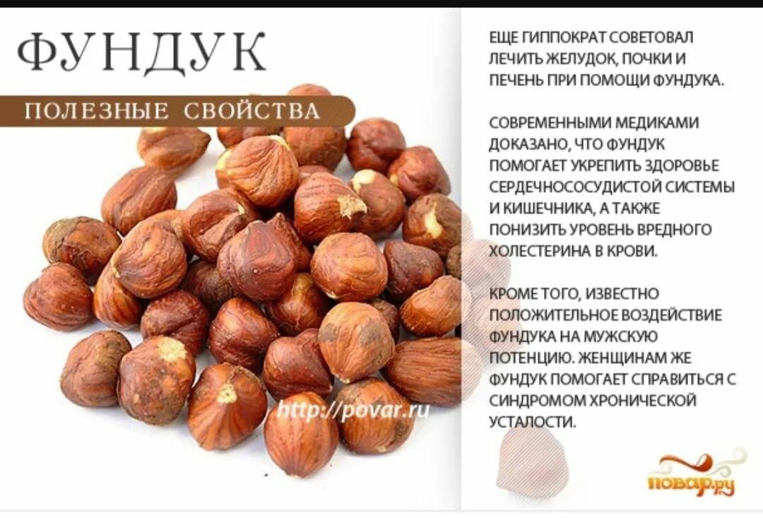 Пять самых полезных орехов