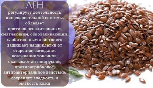Семена льна: применение, свойства, польза и вред. как принимать?
