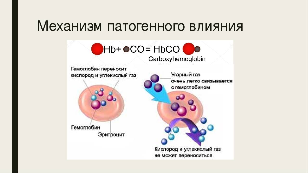 Токсичность углерода. Механизм токсического действия угарного газа. Механизм действия угарного газа на гемоглобин. Патогенез отравления угарным газом схема. Эффект Бора биохимия гемоглобин.