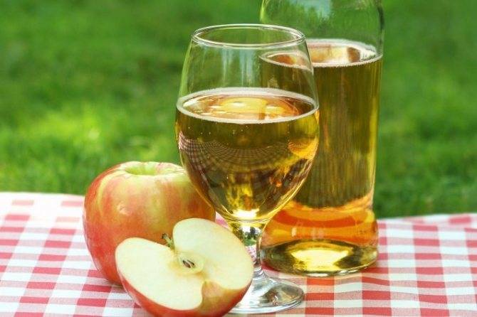 Рецепты яблочного сидра в домашних условиях: простые и оригинальные способы приготовления