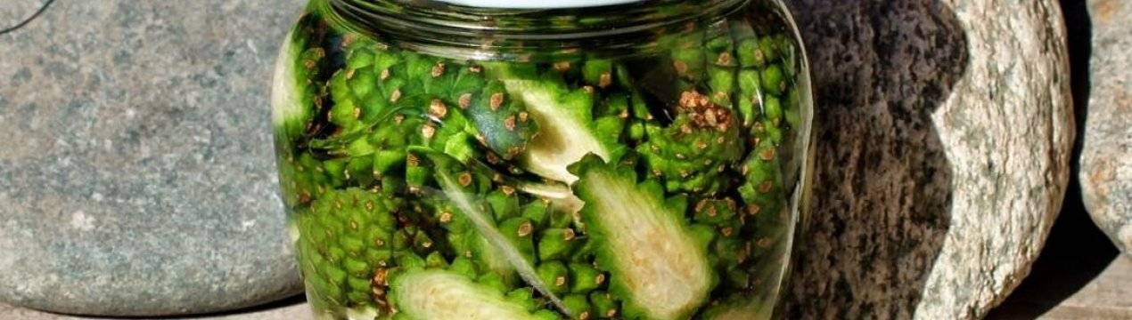 Настойка из сосновых шишек на водке для сосудов: как принимать, рецепты