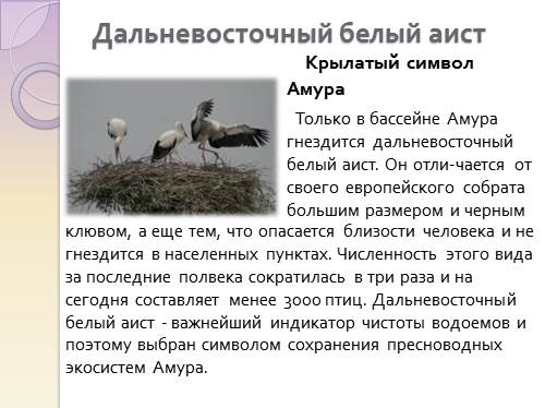 Составьте и запишите план текста из трех пунктов аист у многих народов считается птицей