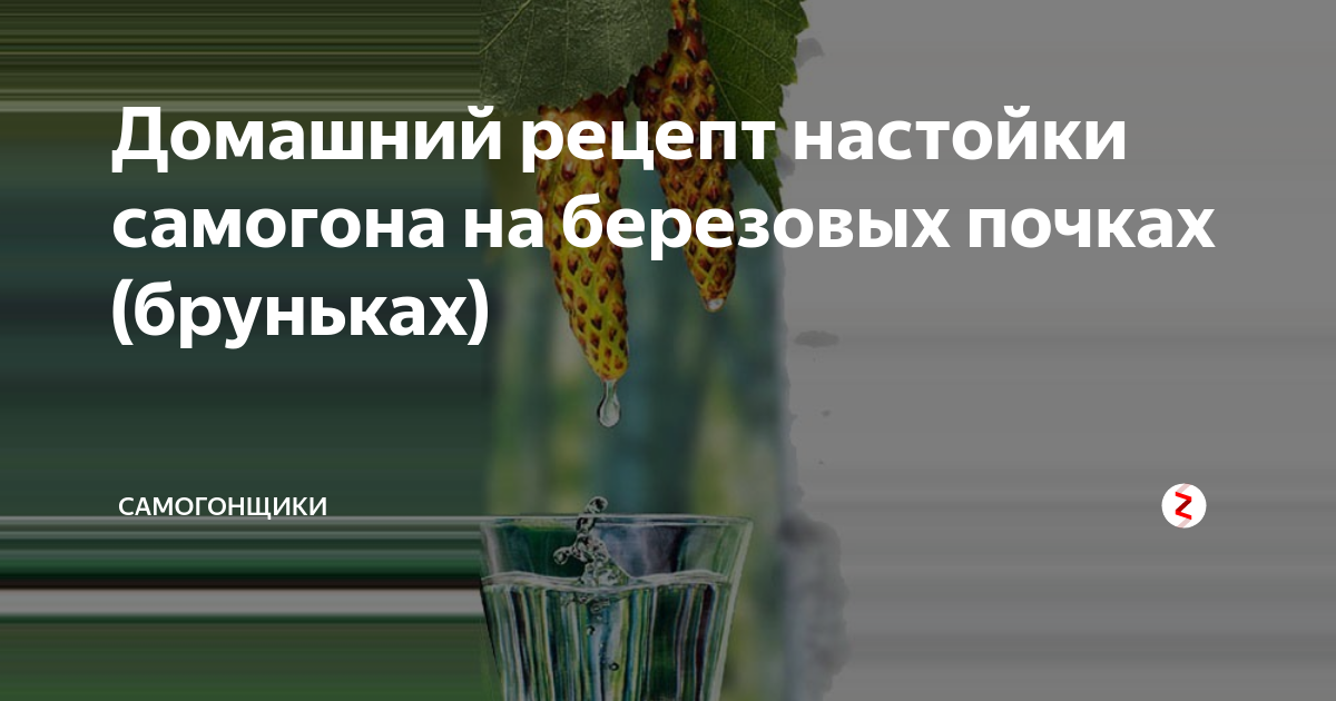 Самогон на березовых почках. Настойка на березовых почках на самогоне. Самогон на березовых почках полезен.