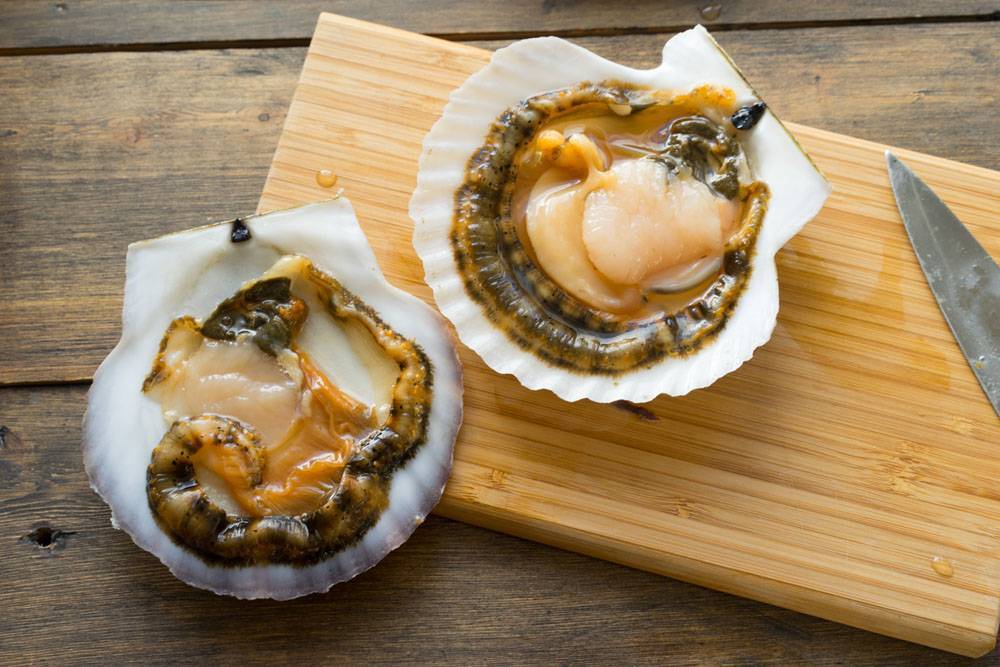 Морские гребешки — полезные свойства и вред | польза и вред