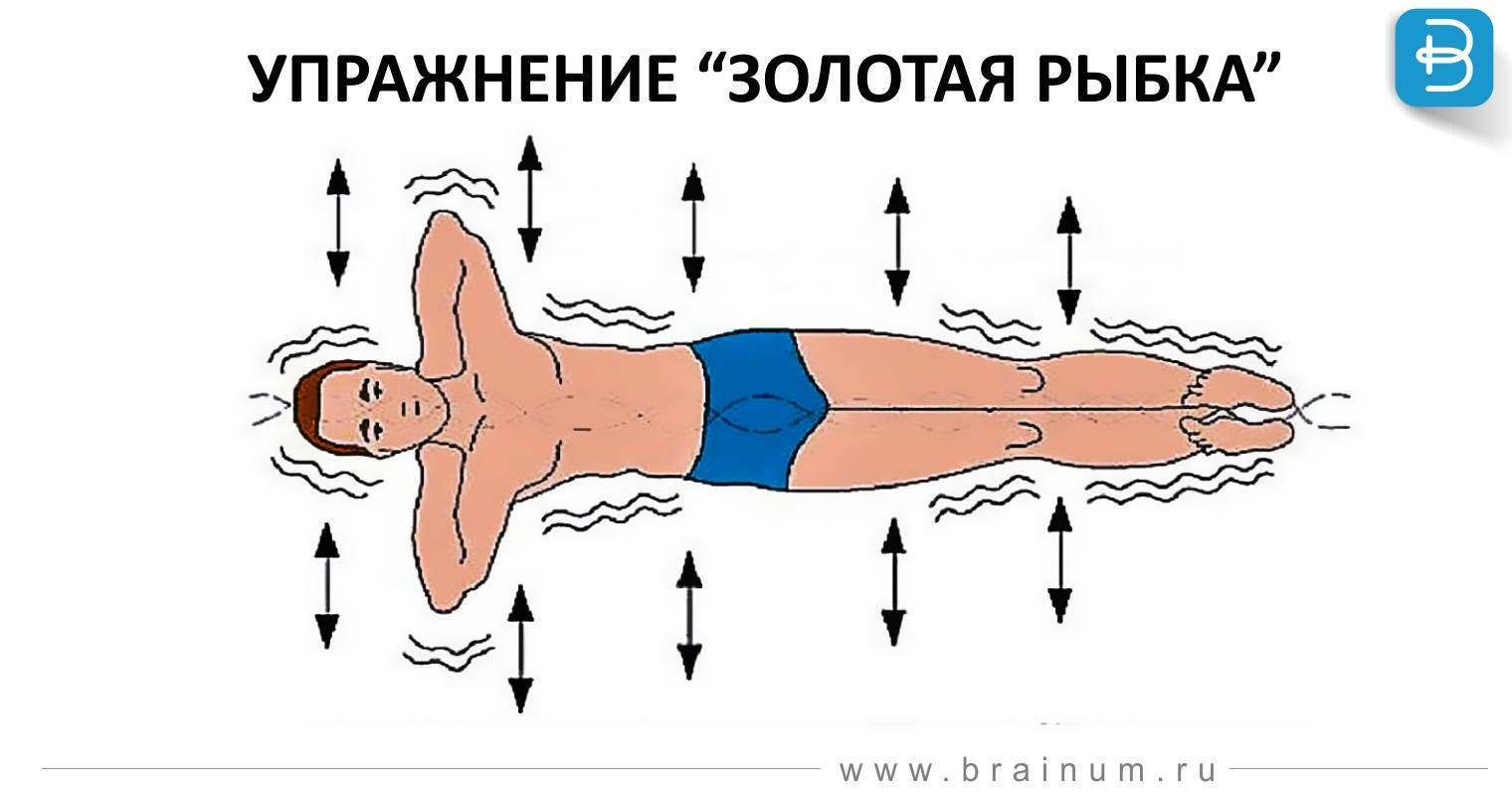 Упражнение Золотая рыбка для позвоночника Кацудзо ниши