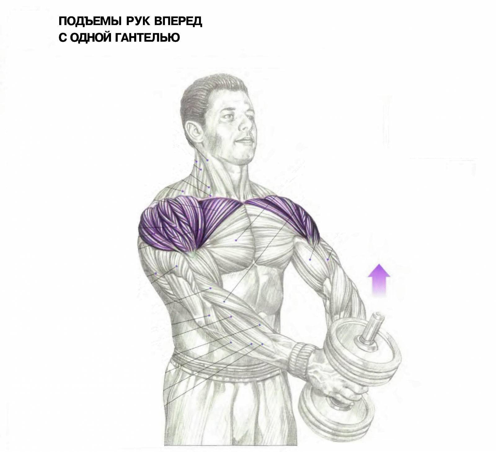 Качаем плечи: подъем гантелей перед собой
