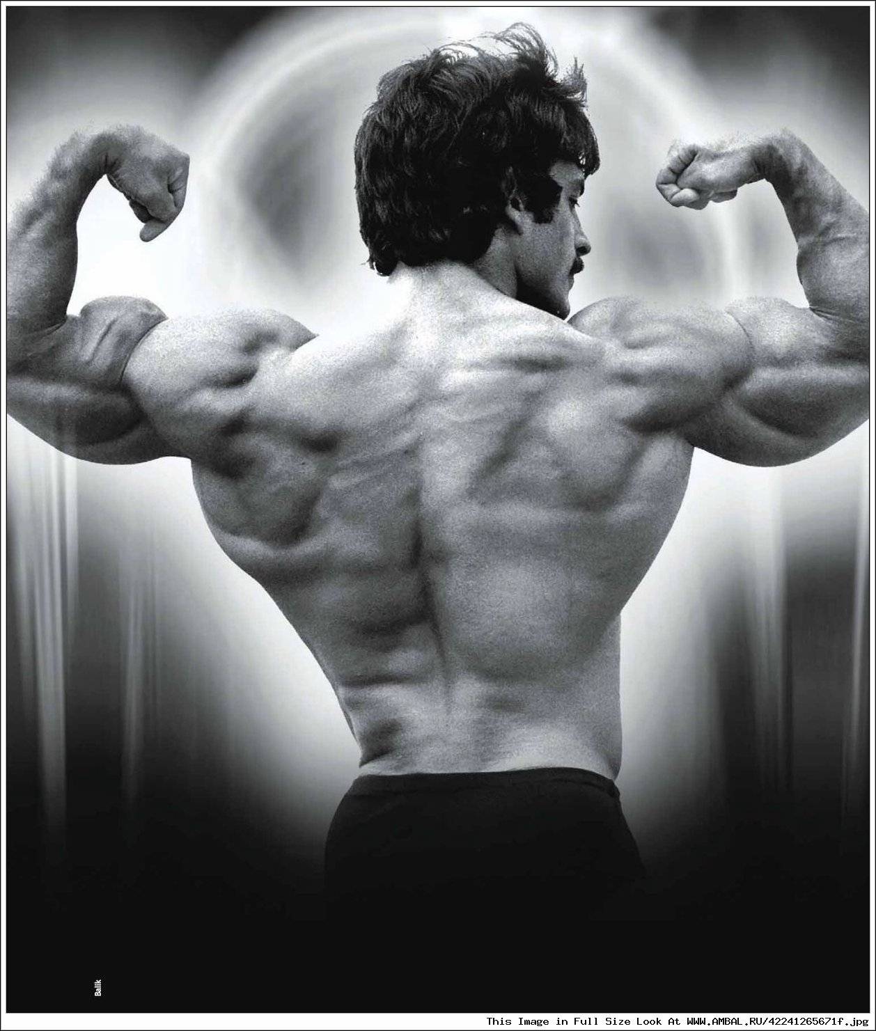 Система тренировок майка ментцера