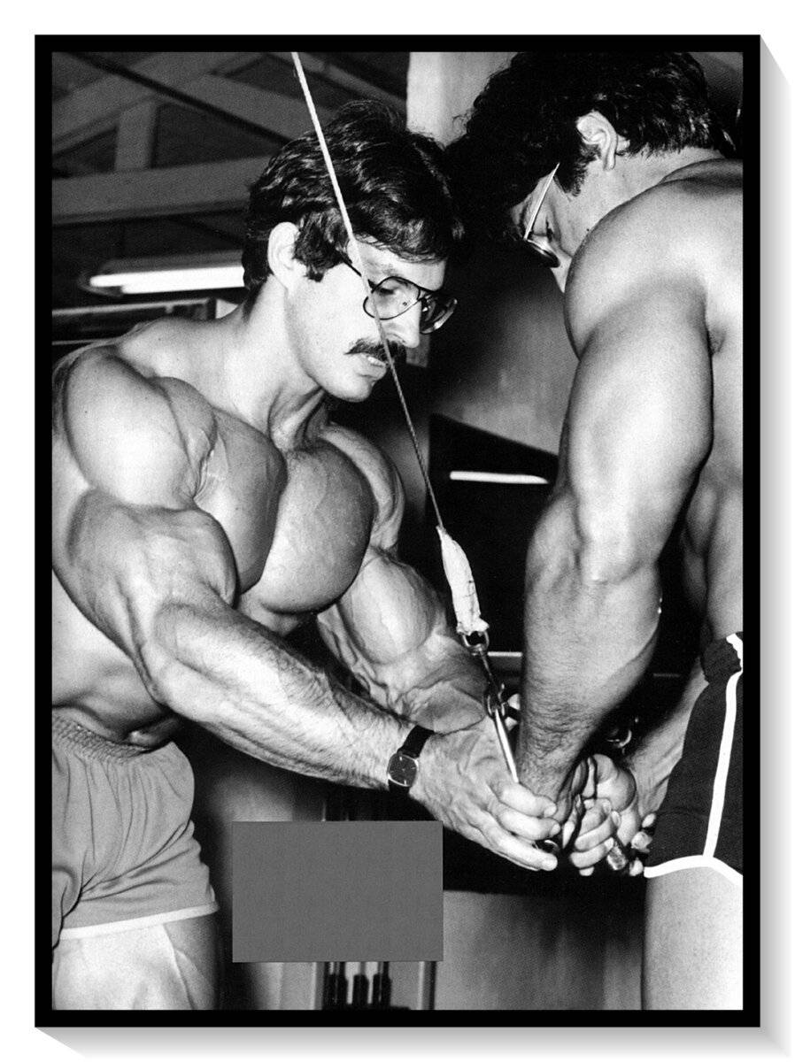 Майк ментцер: биография и его система «супертренинг»