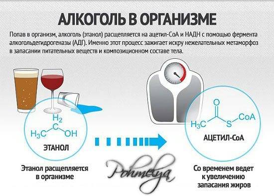 Алкоголь разжижает кровь или сгущает? какой алкоголь разжижает кровь: водка, пиво, вино? - kardiobit.ru