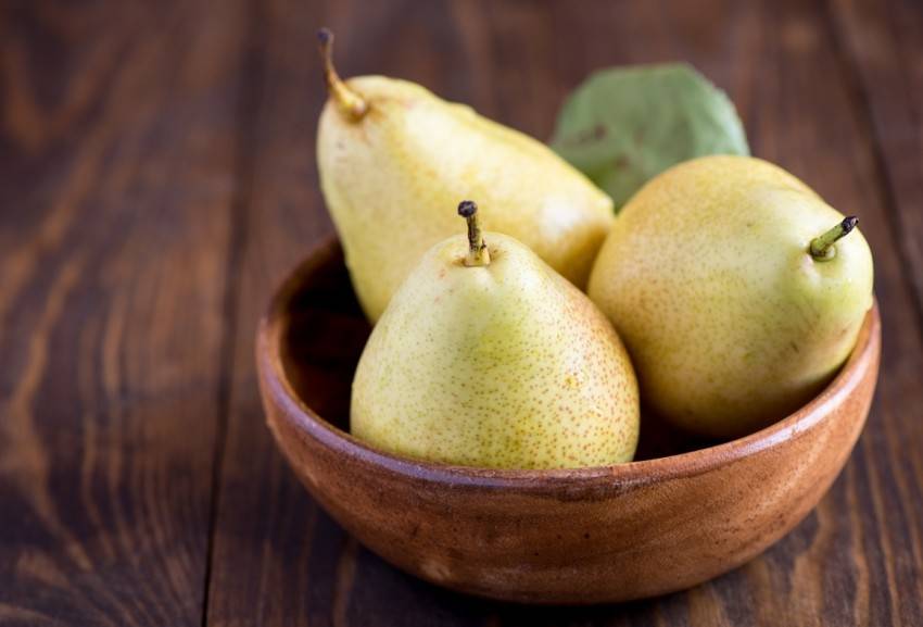 Груша: польза и вред для здоровья человека