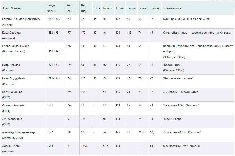 Пропорции в бодибилдинге таблица для мужчин - спорт и питание
