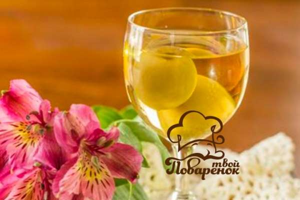 Вино из алычи: простые рецепты приготовления напитка в домашних условиях из красных и желтых плодов, с косточками и без, а также как сделать по-польски?