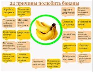 За что отвечает гемоглобин и что значит пониженный и повышенный показатель?