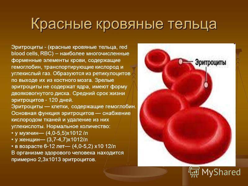 Пониженные эритроциты у мужчины причины. Красные кровяные тельца. Эритроциты в организме человека. Эритроциты крови человека. Красные кровяные тельца эритроциты.