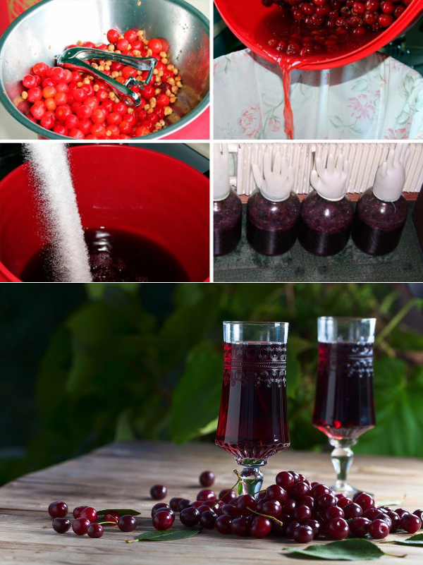 Вино из ранеток - простые пошаговые рецепты для приготовления в домашних условиях