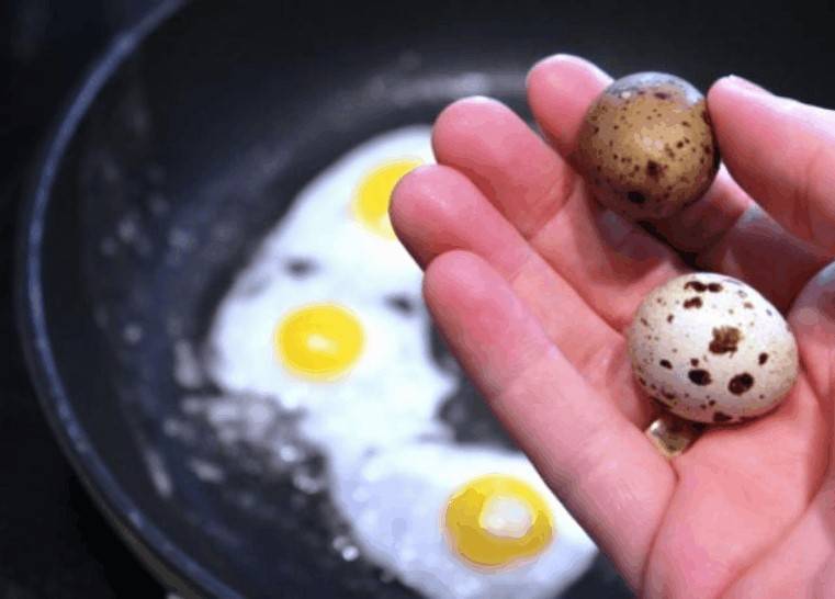 Перепелиные яйца: полезные свойства и вред