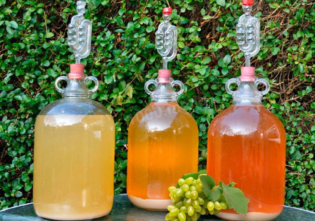Вино из березового сока без кипячения - лучшие рецепты от gemrestoran.ru