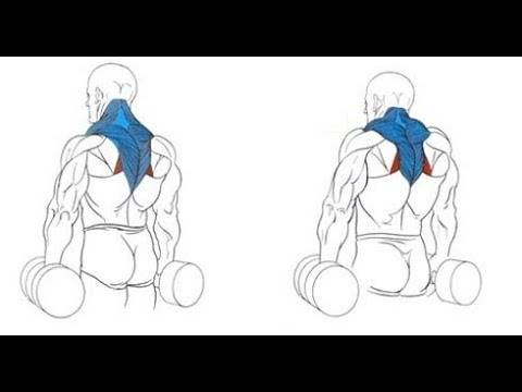 Выпады с гантелями