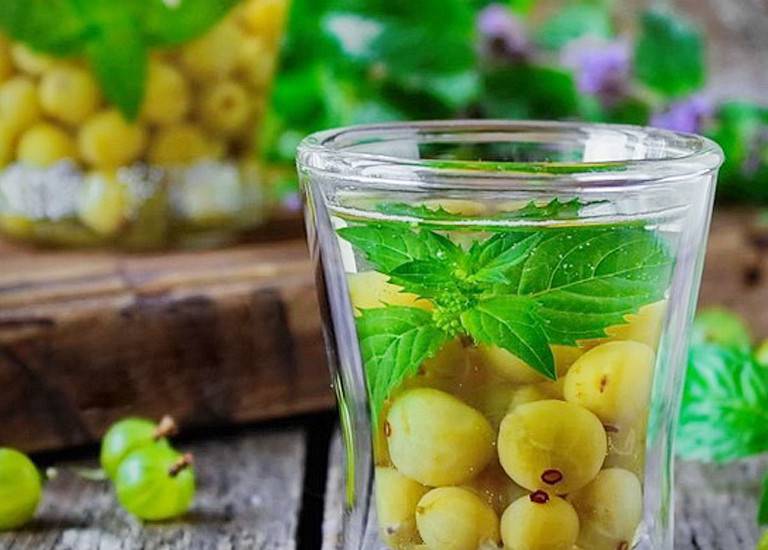 Настойка из крыжовника: 3 рецепта в домашних условиях