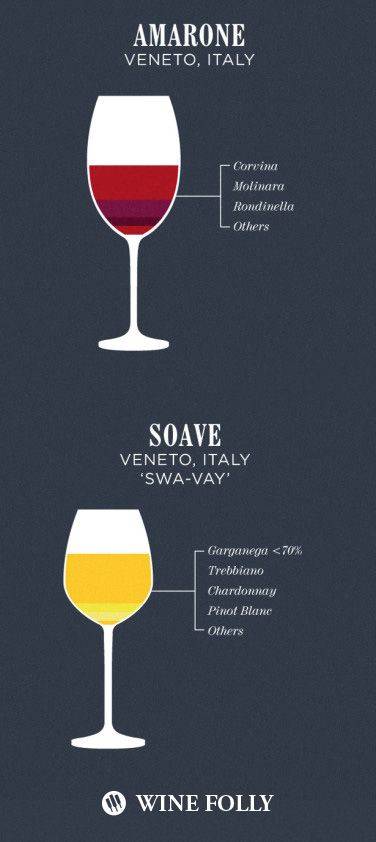 Виноделие в испании: история, этапы развития, сорта и самые популярные марки вин