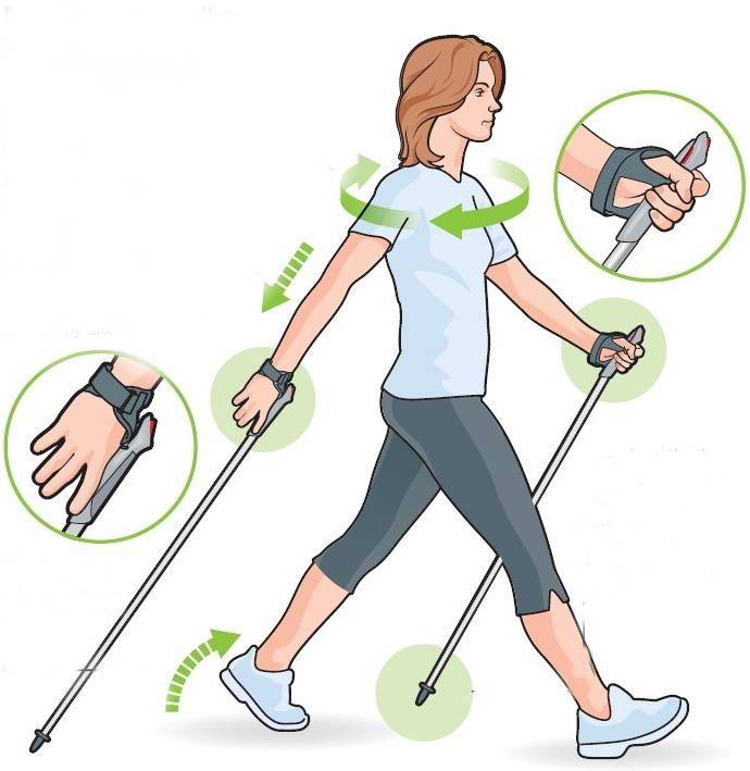 Польза и вред от скандинавской ходьбы