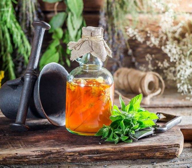 5 настоек для бодрости и энергии: как их принимать, а также рецепты на основе женьшеня, элеутерококка и других растений