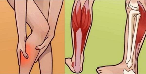 Сводит мыщцы на руках, ногах: причины, симптомы и лечение