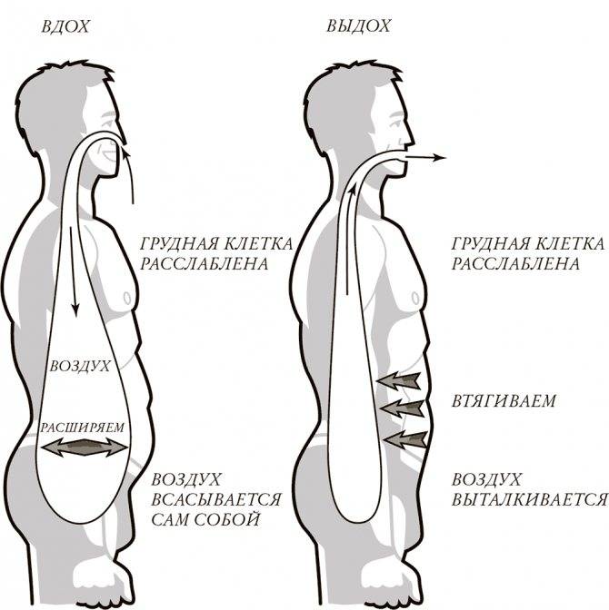 Как правильно дышать - животом или грудью?