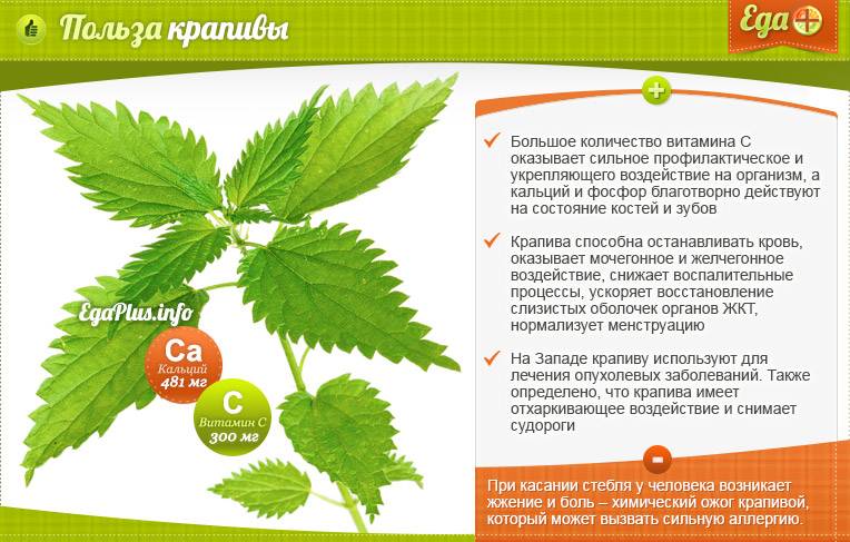 Как повысить тромбоциты в крови: питание, препараты и народные средства, образ жизни