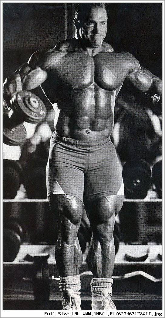 Программа майка франкоса - тренинг