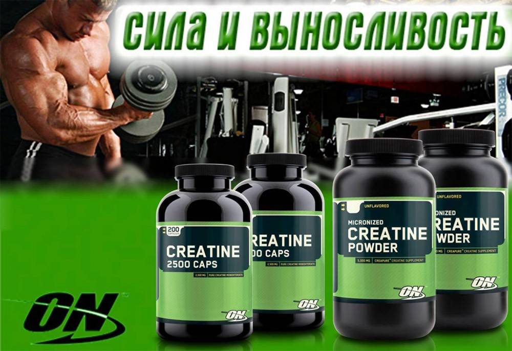 Creatine monohydrate от maxler: как принимать, отзывы о креатине