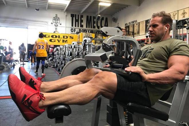 Программа джея катлера — схема тренинга джея катлера, особенности, кому подходит и когда её использовать