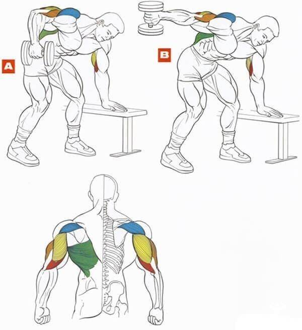 Упражнения для мышц рук: 20 лучших упражнений для прокачки мышц рук
