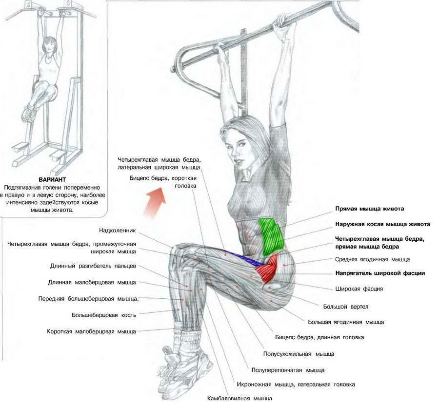 Как накачать пресс в домашних условиях? | компетентно о здоровье на ilive