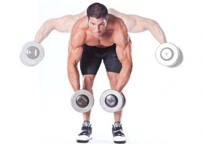 Махи гантелями в стороны стоя — техника выполнения