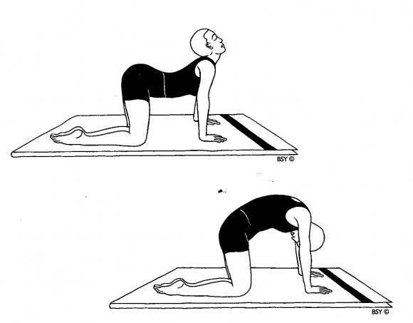 Упражнение лодочка для спины: польза, техника выполнения, какие мышцы работают