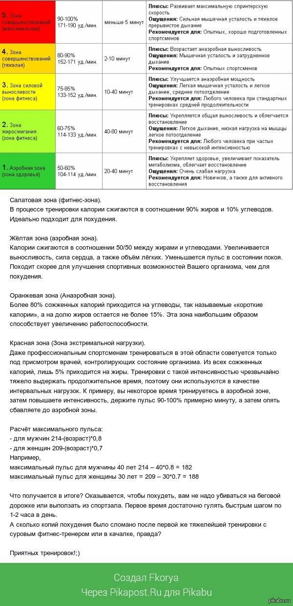 Кардиотренировка - правила, какой должен быть пульс