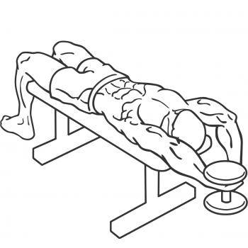 Пуловер в кроссовере: техника выполнения упражнения в блоке для мышц спины